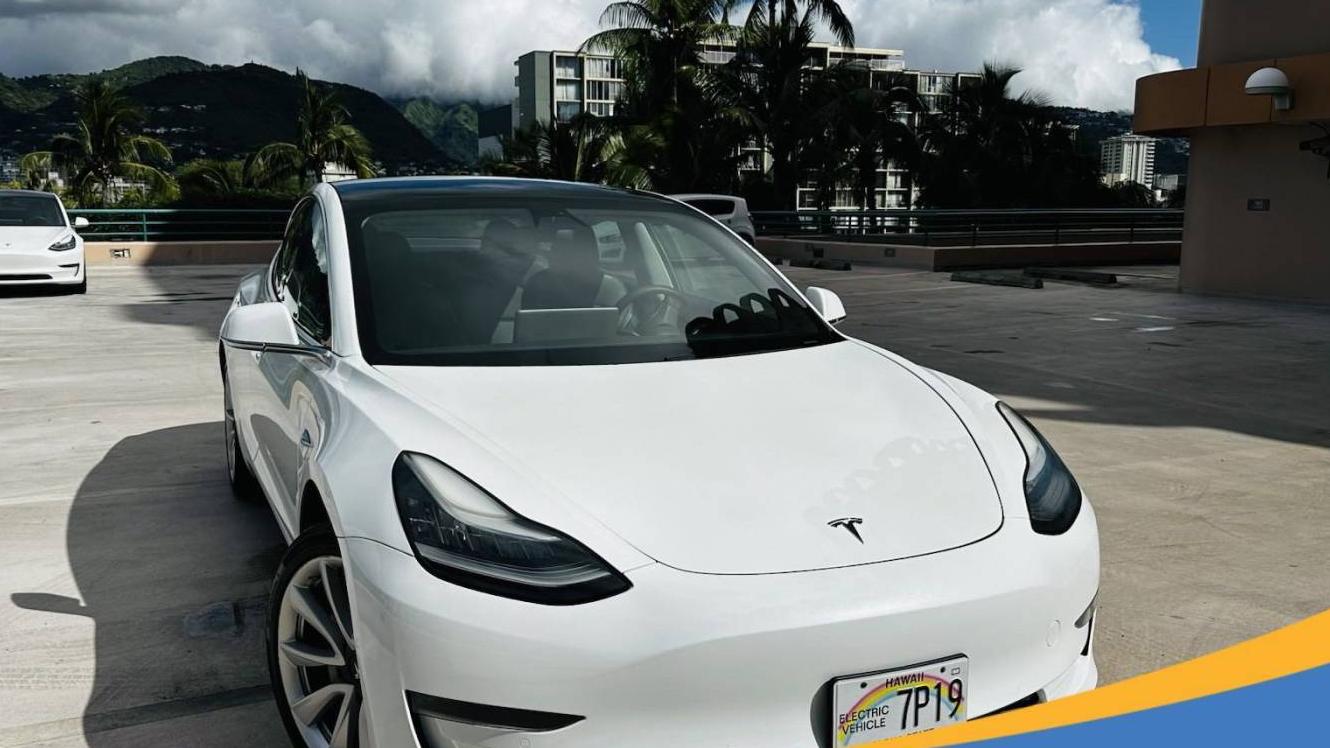 TESLA MODEL 3 2020 5YJ3E1EA4LF476828 image